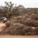 Image for article titled The 2019 Ford Ranger Isn't the Ranger You Remember, but It's Good at What It Does